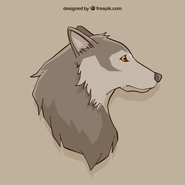 Wolf Zeichnung Hintergrund