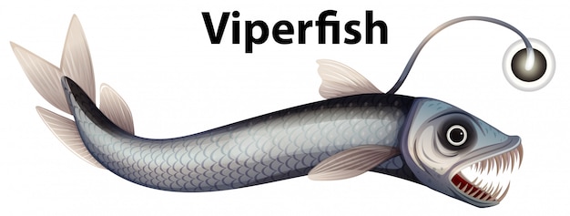 Wordcard design für viperfish mit weiß