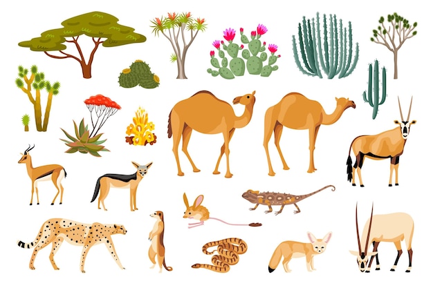 Wüstenflora und -fauna-karikatursatz der reptilkamelleopardenschlangenziegenschakalkakteen lokalisierte vektorillustration