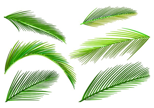 X9Dekorative tropische Pflanzen, grünes Blatt-Set-Design