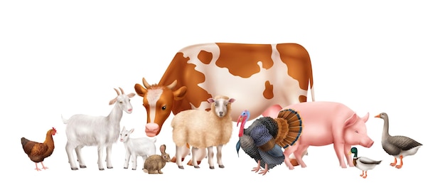 Zusammensetzung der Nutztiere