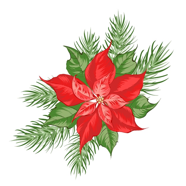 Zusammensetzung der roten Weihnachtssternblume lokalisiert über weißem Hintergrund.