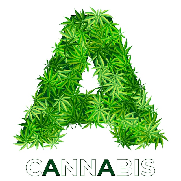 2 von 6. buchstabe a. annabis oder marihuana-blatt-logo-entwurfsschablone. hanf für emblem, logo, werbung für medizinische dienstleistungen oder verpackung. flache stilikone. isoliert