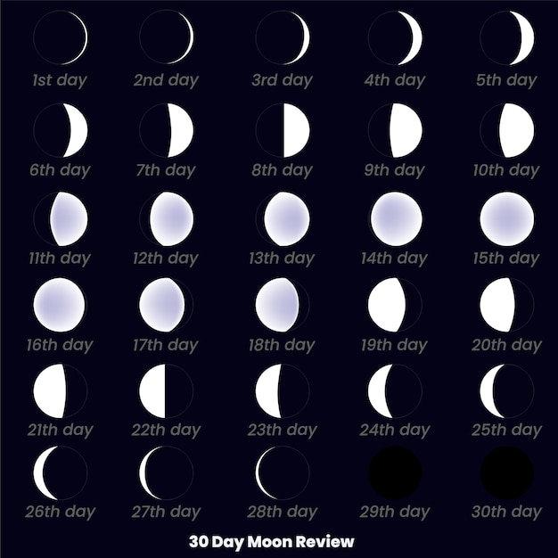 Vektor 30-tage-mondset ein diagramm der mondübersicht mit dem datum des monats