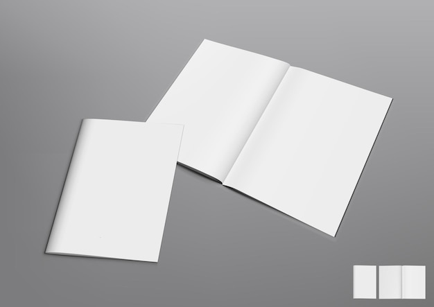 3D Blank Open And Close Magazin auf Grau
