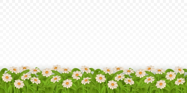 3d-grüne Grasgrenze farbenfrohe Gänseblume Kamille Vektor Illustration