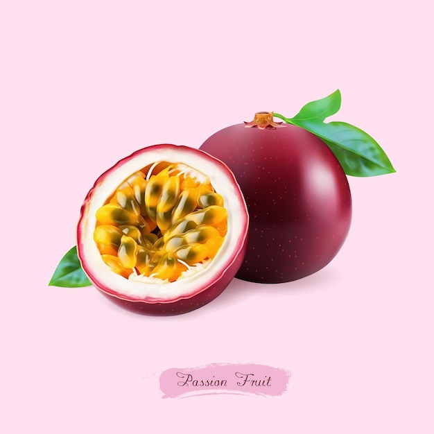 3D-Illustration der Passionsfrucht