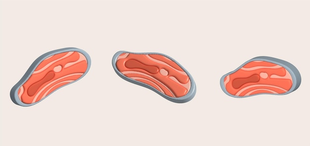 3D-Illustration dicke Scheiben rohen Lachses von frischem Sashimi oder Forellen-Sashimi