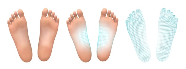 Vektor 3d-illustrationvector foot volume gesundheit und schuhauswahl