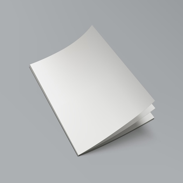 3D-Leeres klares Magazin mit isolierten Schatten
