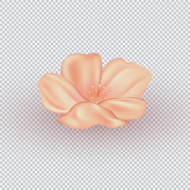 3d-realistische Kirsch-Pfirsich- oder Pflaumenblüte mit weichen, zarten Blütenblättern und detaillierten Stämmen
