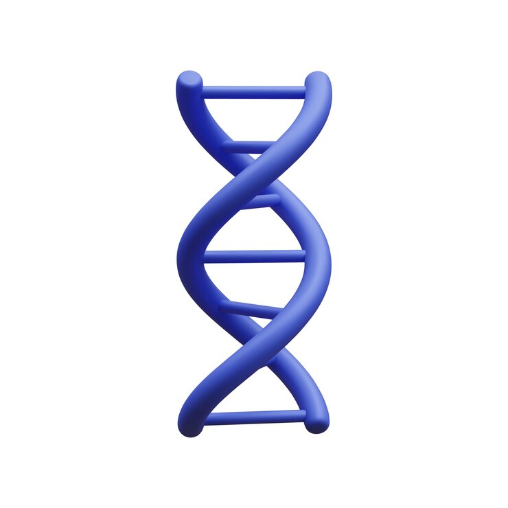 3d realistische medizinische Spirale genetische DNA isoliert in weißem Hintergrund Banner für Molekularchemie Physik Wissenschaft Biochemie im Cartoon-Stil Vektor-Illustration