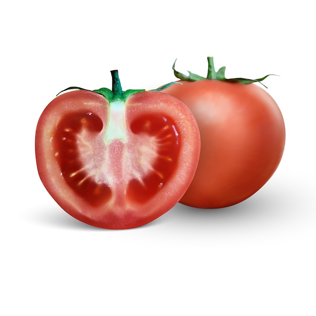 3D realistische Tomate und Scheibe lokalisiert auf weißem Hintergrund. Realistische frische saftige Tomate mit grünem Zweig und Scheibe auf weißem Hintergrund. Illustration.