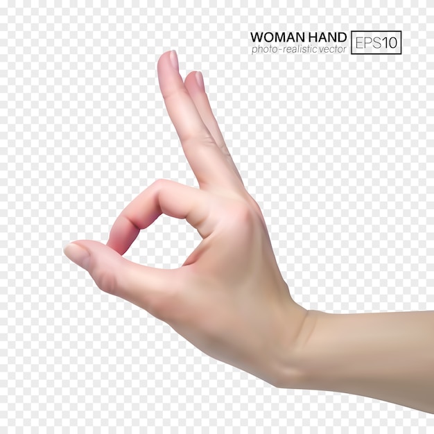 3d weibliche Hand zeigt okay. Realistische Illustration auf transparentem Hintergrund.