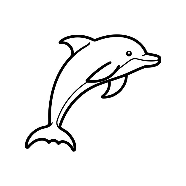 A playful black and white dolphin jumping in the ocean