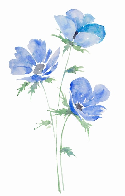Abbildung Aquarell Zeichnung Blumenstrauß Anemonen blaue Skizze Flecken