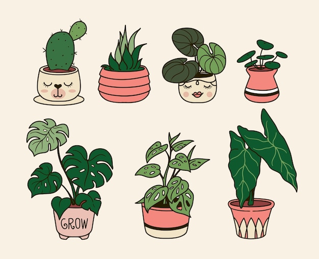 Abbildung handgezeichnete zimmerpflanzen