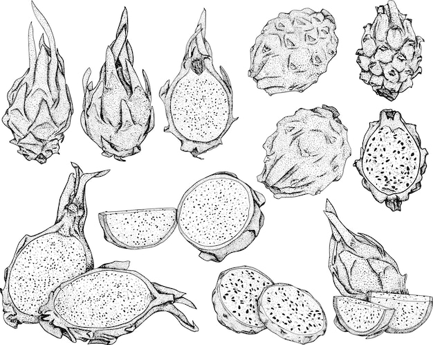 Abbildung: Pitaya Drachenfrucht Köstliche tropische vegetarische Objekte