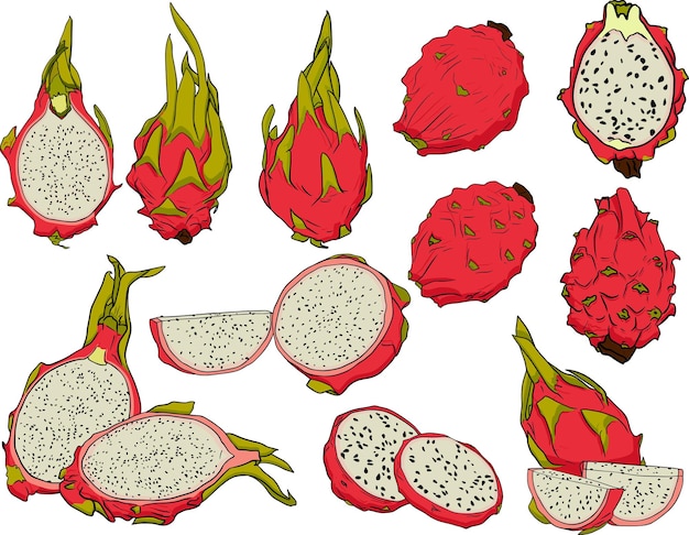 Abbildung: pitaya drachenfrucht köstliche tropische vegetarische objekte