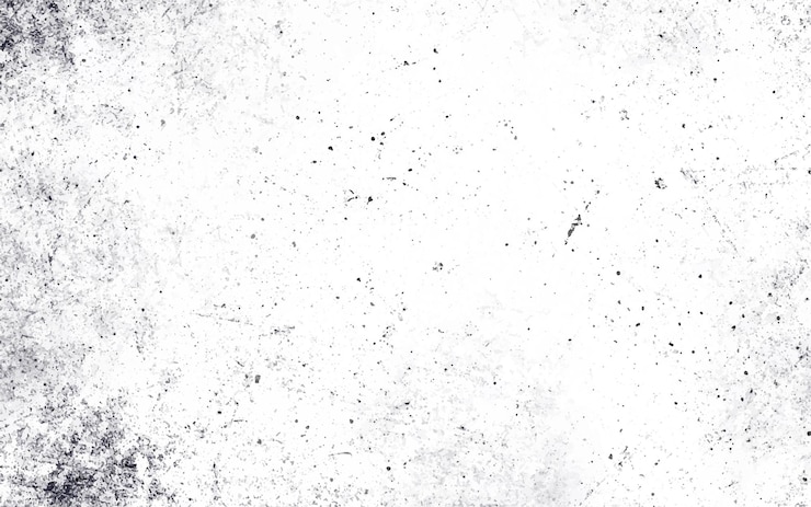Vektor abstract schwarz-weiß staubüberlagerung textur korn not textur und staubpartikel vektor textur grunge hintergrund mit sand textur effekt vektor illustration