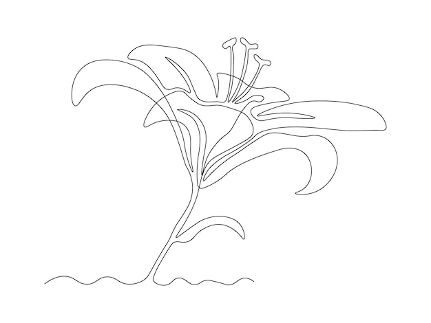 abstrakte Lilienblume kontinuierliche Einzeil-Kunstzeichnung Skizze Logo