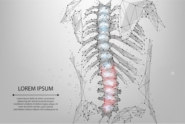 Abstrakte Maschenlinie und Punktphysiotherapie menschliche Wirbelsäule. Polygonal rendern weibliche Rückenhernie