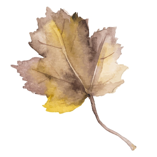 Abstrakte Vektor-Aquarell-Illustration von Herbstblättern. Handgezeichnete Natur-Designelemente isoliert auf weißem Hintergrund