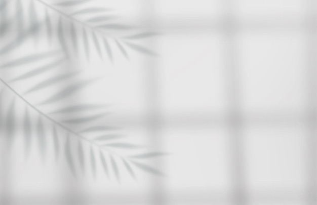 Abstrakter Hintergrund des leeren Studios