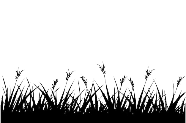 Vektor abstrakter hintergrund mit schwarzen silhouetten von wiesenwildkräutern und blumen. vektorillustration