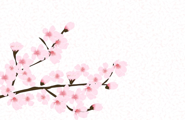 Abstrakter japanischer natürlicher Hintergrund der Blumen-Sakura-Blume