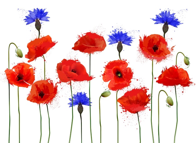 Abstrakter schöner Hintergrund mit roten Mohnblumen und blauen Kornblumen Vektor