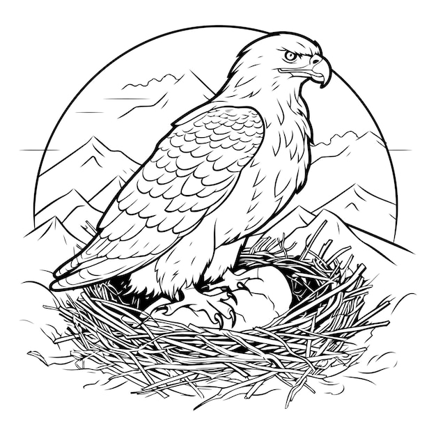 Vektor adler in einem nest schwarz-weiß-vektorillustration für ein malbuch