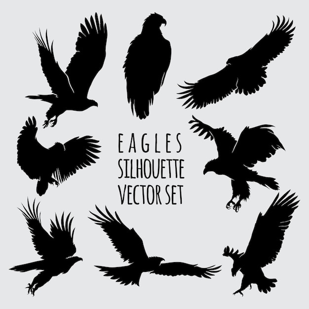 Adler-silhouette-vektor-illustrationssatz