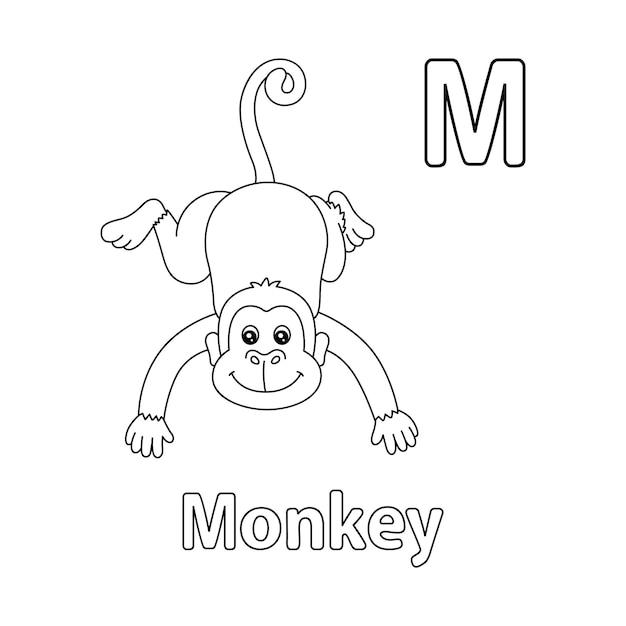 Affe Alphabet ABC Malvorlage M
