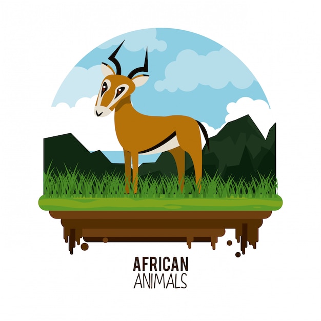 Vektor afrikanische tiere cartoon