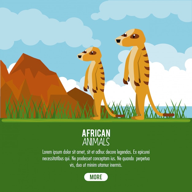 Afrikanische tiere cartoon