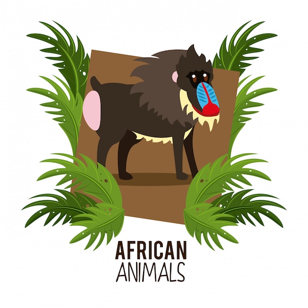 Afrikanische tierkarikaturen