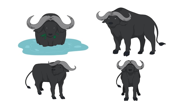 Vektor afrikanischer schwarzer büffel in 4 aktion