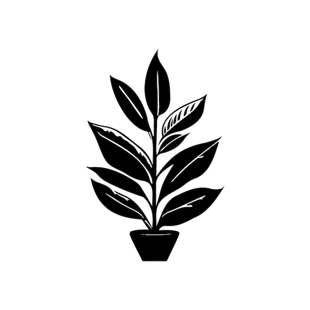 Aglaonema icon handzeichnung schwarzes pflanzenlogo vektorelement und symbol