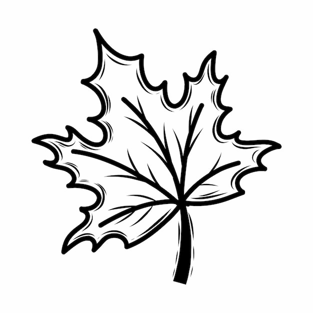 Ahornblatt Vektor-Doodle-Illustration Herbstpostkarten-Dekorelement Malbuch für Kinder