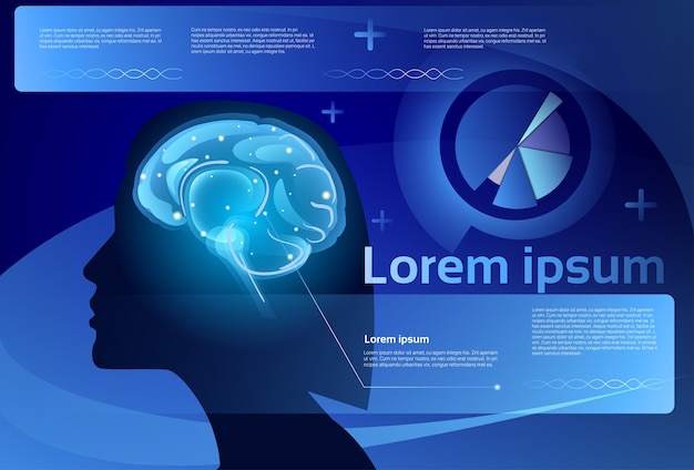 Aktivität der weiblichen gehirnneuronen infographic