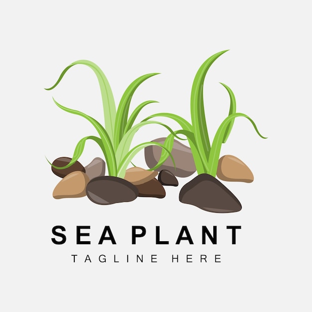 Algen, logo, meerespflanzen, vektor, design, lebensmittelgeschäft, und, natur, protection