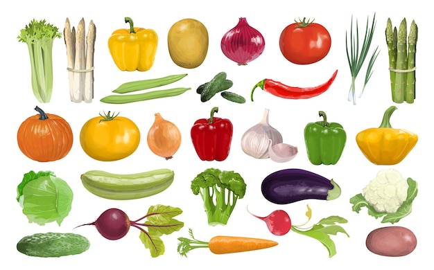Alle Gemüse setzen Kürbis und Tomate, Karotte und Gurke