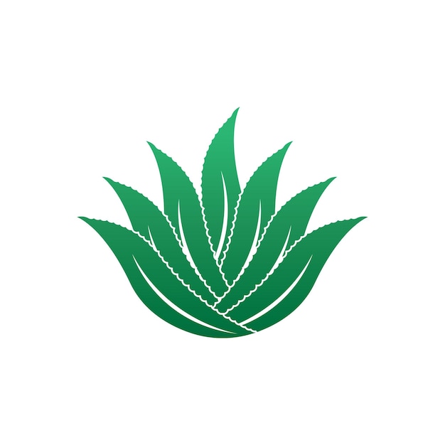 Aloe Vera Logo Icon Design Symbol Schönheit