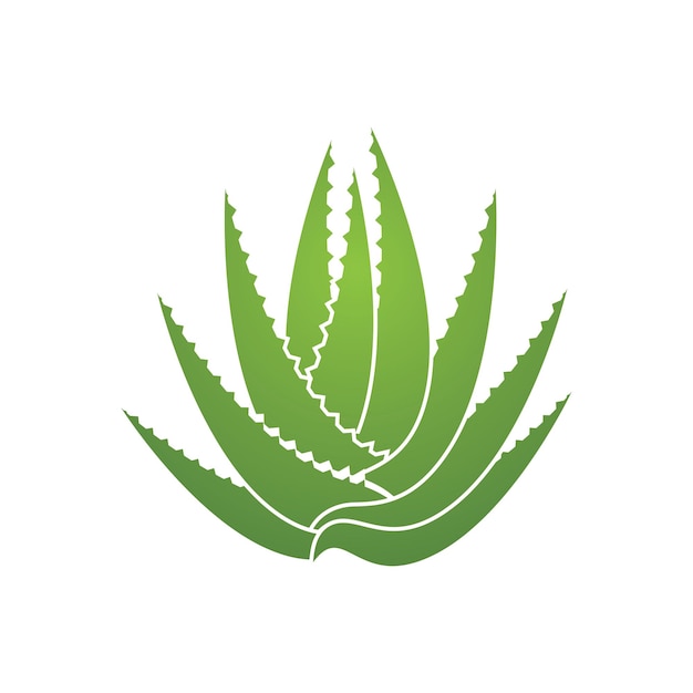 Aloe Vera Logo Icon Design Symbol Schönheit