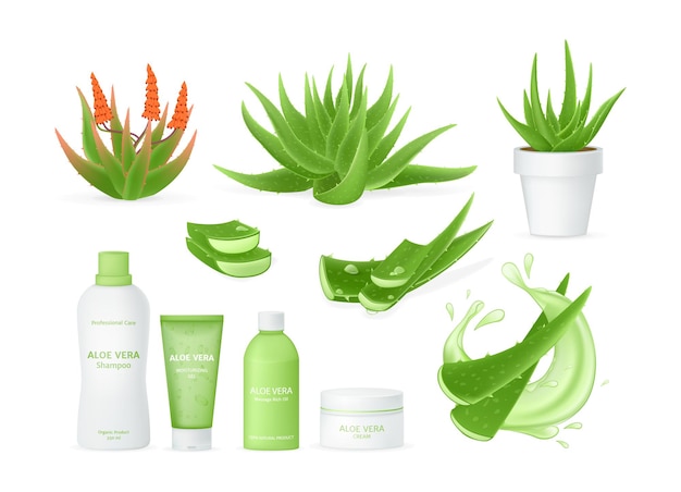 Vektor aloe vera realistisches set mit frischen wassertropfen heilpflanzenblätter geschnittene stücke