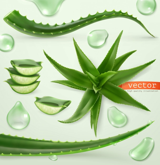 Vektor aloe vera und tropfen. medizinisch. 3d icon set