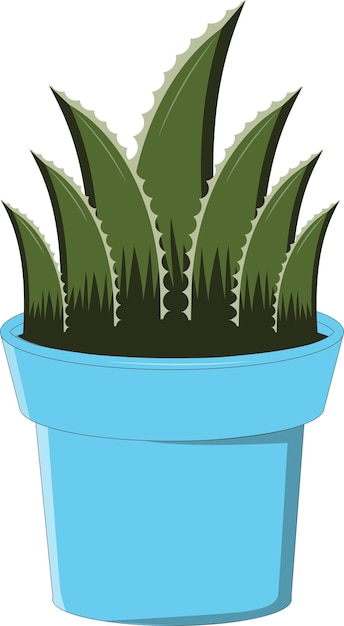 Alovera Pflanzen-Aloe-Olivenöl-Kamillen-Vektor-Illustration