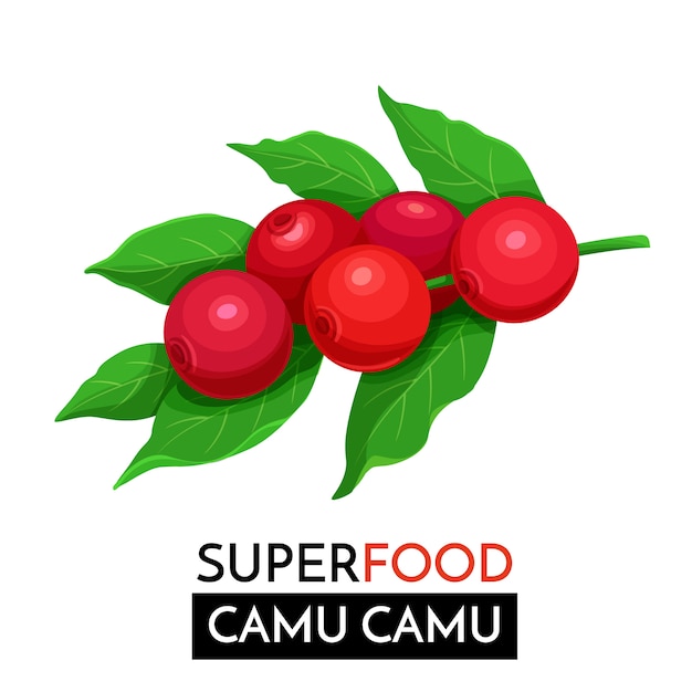 Ð¡amu camu symbol.