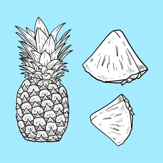 Vektor ananas-set hand gezeichnete illustration schwarz und weiß